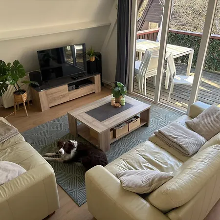 Sequoia Duo 2 Voisins, Familles,amis,detente *