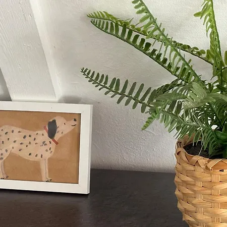 Sequoia Duo 2 Voisins, Familles,amis,detente * Durbuy